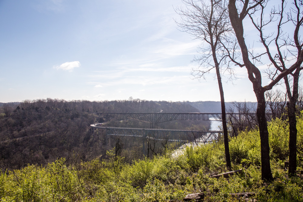 Wild Turkey & Four Roses Distilleries